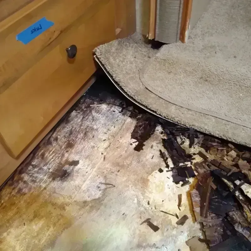 Best Wood Floor Water Damage Service in Kent County, MI